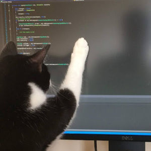 Meet your Posher, Noah